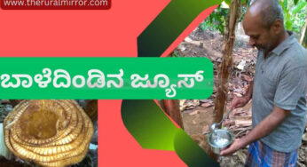 ಬಾಳೆದಿಂಡಿನ ರಸ ಕಿಡ್ನಿಯಲ್ಲಿರುವ ಕಲ್ಲನ್ನು ಕರಗಿಸಬಲ್ಲುದು..!