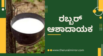 ಅಂತರಾಷ್ಟ್ರೀಯ ರಬ್ಬರ್‌ ಬೆಲೆ ಹೆಚ್ಚಳ | ಹೆಚ್ಚುತ್ತಿರುವ ರಬ್ಬರ್‌ ಬೇಡಿಕೆ |