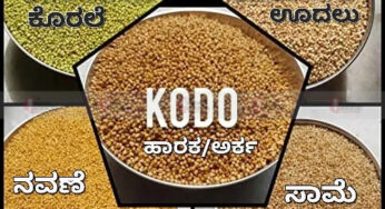 ಸಿರಿಧಾನ್ಯಗಳೆಂದರೇನು..? ಅವುಗಳಿಗೆ ಇಷ್ಟೊಂದು ಮಹತ್ವ ಇದ್ದಕ್ಕಿದ್ದಂತೆ ಏಕೆ ಬಂದಿದೆ..?