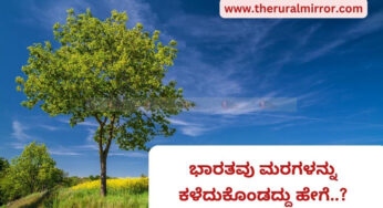 ಭಾರತವು 5.3 ಮಿಲಿಯನ್‌ ಮರಗಳನ್ನು ಕಳೆದುಕೊಂಡದ್ದು ಹೇಗೆ..?