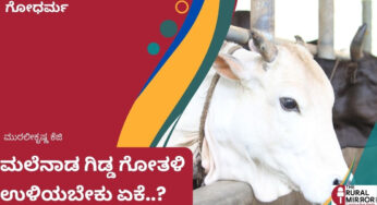 ಮಲೆನಾಡ ಗಿಡ್ಡ ಗೋತಳಿಗಳನ್ನು ಉಳಿಸಿ ಸಂವರ್ಧಿಸಬೇಕು ಏಕೆ..?