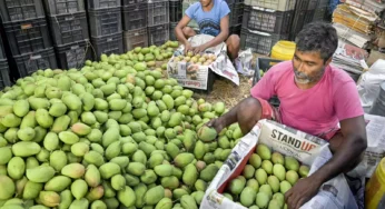 ಮಾವಿನ ಬೆಳೆಗೆ ಬೆಂಬಲ ಬೆಲೆ ಘೋಷಣೆ