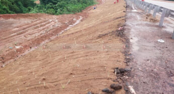 ಮಣ್ಣು ಕುಸಿತ ತಡೆಗೆ ಹಸಿರು ಹೊದಿಕೆ |ರಾಷ್ಟ್ರೀಯ ಹೆದ್ದಾರಿ ಪ್ರಾಧಿಕಾರದಿಂದ ಹೊಸ ಐಡಿಯಾ |