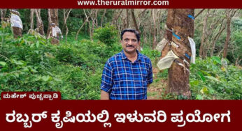 ರಬ್ಬರ್‌ ಕೃಷಿ | ಕೃಷಿಯಲ್ಲಿ ಮಾರ್ಪಾಡು – ಹೆಚ್ಚು ಇಳುವರಿ ಪಡೆಯುತ್ತಿರುವ ಕೃಷಿಕ |