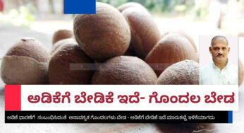 ಅಡಿಕೆ ಧಾರಣೆ ಇಳಿಕೆ | ಅನಾವಶ್ಯಕ ಗೊಂದಲ ಬೇಡ | ಅಡಿಕೆಗೆ ಬೇಡಿಕೆ ಇದ್ದು ಧಾರಣೆ ಕುಸಿಯುವ ಲಕ್ಷಣವಿಲ್ಲ – ಕಿಶೋರ್‌ ಕುಮಾರ್‌ ಕೊಡ್ಗಿ |