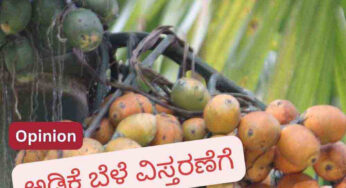 ಅಡಿಕೆ ಕೃಷಿ ವಿಸ್ತರಣೆಯ ಆತಂಕ ಏನು…? | ಕೃಷಿ ವಿಸ್ತರಣೆಗೆ ಬ್ರೇಕ್‌ ಏಕೆ ಬೇಕು…? |