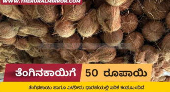 ತೆಂಗಿನಕಾಯಿಗೆ ಮತ್ತೆ ಧಾರಣೆ ಏರಿಕೆ | 50 ರೂಪಾಯಿ ದಾಟಿದ ಧಾರಣೆ |
