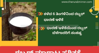 ರಬ್ಬರ್‌ ಧಾರಣೆ ಇಳಿಕೆ | ಕೇರಳದಲ್ಲಿ ರಬ್ಬರ್‌ ಮಾರಾಟ ಸ್ಥಗಿತಕ್ಕೆ ಬೆಳೆಗಾರರು ನಿರ್ಧಾರ |