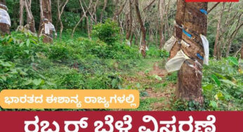 ಈಶಾನ್ಯ ಭಾರತದಲ್ಲಿ ರಬ್ಬರ್‌ ಬೆಳೆ ವಿಸ್ತರಣೆ | 1.25 ಲಕ್ಷ ಹೆಕ್ಟೇರ್‌ ಪ್ರದೇಶದಲ್ಲಿ ರಬ್ಬರ್‌ ತೋಟ |