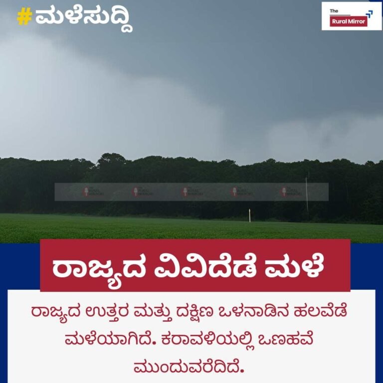 ರಾಜ್ಯದ ಉತ್ತರ ಮತ್ತು ದಕ್ಷಿಣ ಒಳನಾಡಿನ ಹಲವೆಡೆ ಮಳೆ | ಕರಾವಳಿಯಲ್ಲಿ ಒಣಹವೆ ಮುಂದುವರಿಕೆ