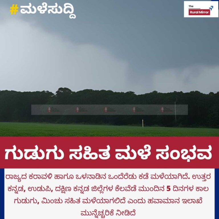 ಕರಾವಳಿ ಸೇರಿದಂತೆ ರಾಜ್ಯದ ಹಲವೆಡೆ ಗುಡುಗು ಸಹಿತ ಮಳೆ ಸಂಭವ | ಹವಾಮಾನ ಇಲಾಖೆ ಮುನ್ಸೂಚನೆ