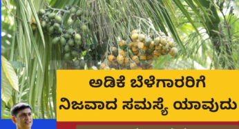 ಅಡಿಕೆ ಬೆಳೆಗಾರರಿಗೆ ನಿಜವಾದ ಸಮಸ್ಯೆ ಯಾವುದು ? ಮುಂದೆ ಇರುವ ಸವಾಲುಗಳು ಯಾವುದು ?