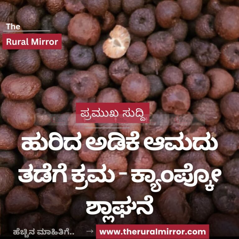 ಹುರಿದ ಅಡಿಕೆ ಆಮದು ತಡೆಗೆ ಕ್ರಮ – ಕ್ಯಾಂಪ್ಕೋ ಶ್ಲಾಘನೆ