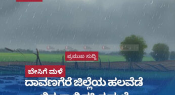 ದಾವಣಗೆರೆ ಜಿಲ್ಲೆಯ ಹಲವೆಡೆ ಬಿರುಗಾಳಿ ಸಹಿತ ಮಳೆ | ತೋಟಗಾರಿಕಾ ಬೆಳೆ ನಾಶ