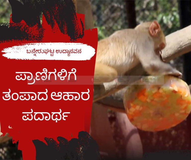 ತಾಪಮಾನ ಹೆಚ್ಚಳ | ಬನ್ನೇರುಘಟ್ಟ ಉದ್ಯಾನವನದಲ್ಲಿ ಪ್ರಾಣಿಗಳಿಗೆ ತಂಪಾದ ಆಹಾರ ಪದಾರ್ಥ |
