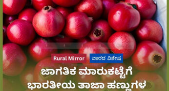 ಭಾರತದ ತೋಟಗಾರಿಕಾ ಹಣ್ಣಿನ ಬೆಳೆಗಳತ್ತ ಚಿತ್ತ | ಜಾಗತಿಕ ಮಾರುಕಟ್ಟೆಗೆ ಭಾರತೀಯ ತಾಜಾ ಹಣ್ಣುಗಳ ಪರಿಚಯ |