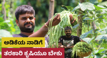 ಅಡಿಕೆಯ ನಾಡಿಗೆ ಬೇಕು ತರಕಾರಿ