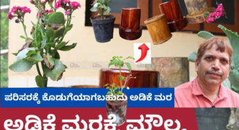 ಪರಿಸರಕ್ಕೆ ಕೊಡುಗೆಯಾಗಬಹುದು ಅಡಿಕೆ ಮರ | ಅಡಿಕೆ ಮರಕ್ಕೆ ಮೌಲ್ಯ ತರಲು ಒಂದು ದಾರಿ | ಒಂದು ಮರಕ್ಕೆ ಕನಿಷ್ಟ 700 ರೂಪಾಯಿ ಪಡೆಯಬಹುದು ಹೇಗೆ ?