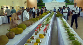 ಬೆಂಗಳೂರು-ಮೈಸೂರಿನಲ್ಲಿ ವಿವಿಧ  ತಳಿಗಳ ಮಾವು, ಹಲಸು ಪ್ರದರ್ಶನ ಮತ್ತು ಮಾರಾಟ