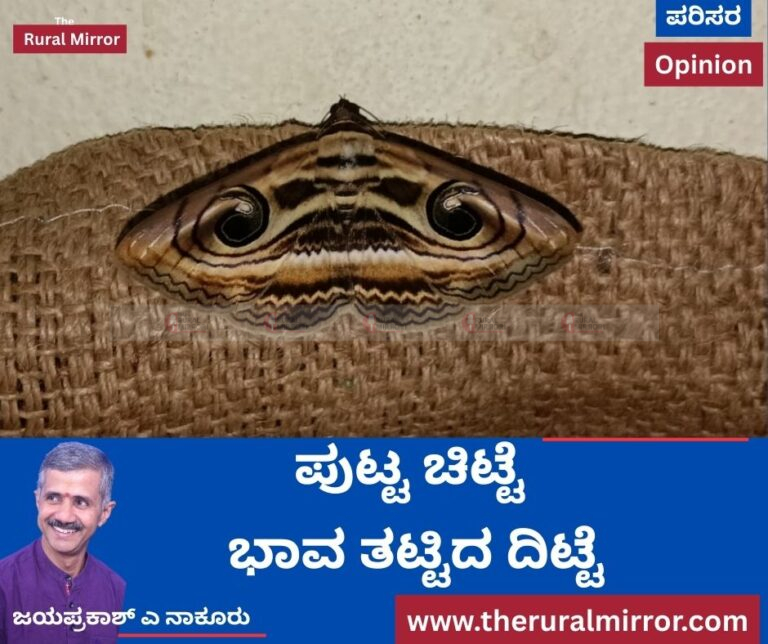 ಪುಟ್ಟ ಚಿಟ್ಟೆ | ಭಾವ ತಟ್ಟಿದ ದಿಟ್ಟೆ