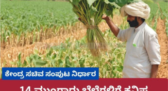 14 ಮುಂಗಾರು ಬೆಳೆಗಳಿಗೆ ಕನಿಷ್ಠ ಬೆಂಬಲ ಬೆಲೆ ನಿಗದಿ