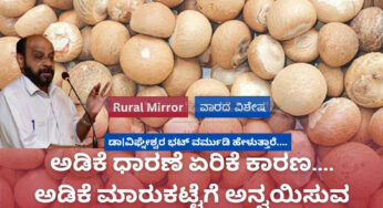 ಅಡಿಕೆ ಧಾರಣೆ ಏರಿಕೆಗೆ ಕಾರಣ ಇದೆ | ಈಗ ಅಡಿಕೆ ಮಾರುಕಟ್ಟೆಗೆ ಅನ್ವಯಿಸುವ ಸಿದ್ಧಾಂತಗಳು ಯಾವುದು..?