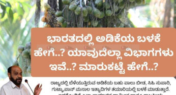 ಭಾರತದಲ್ಲಿ ಅಡಿಕೆಯ ಬಳಕೆ ಹೇಗೆ..? ಯಾವುದೆಲ್ಲಾ ವಿಭಾಗಗಳು ಇವೆ..? ಮಾರುಕಟ್ಟೆ ಹೇಗೆ..?