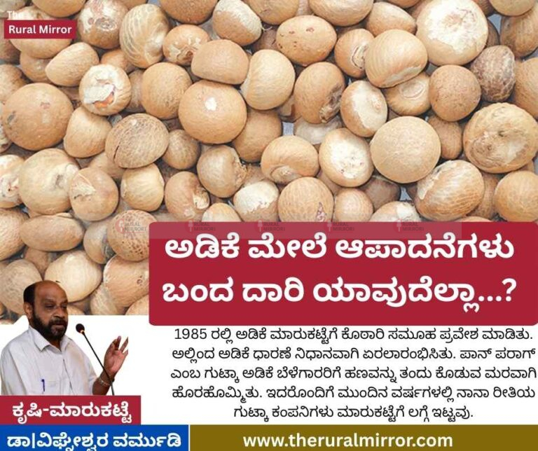 1954 ರಿಂದ 2025 | ಅಡಿಕೆ ಮೇಲೆ ಆಪಾದನೆಗಳು ಬಂದ ದಾರಿ ಯಾವುದೆಲ್ಲಾ…?