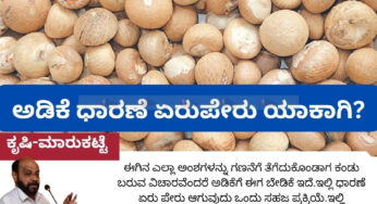 ಅಡಿಕೆ ಧಾರಣೆ ಏರುಪೇರು ಯಾಕಾಗಿ?