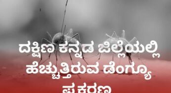 ದಕ್ಷಿಣ ಕನ್ನಡ ಜಿಲ್ಲೆಯಲ್ಲಿ ಹೆಚ್ಚುತ್ತಿರುವ ಡೆಂಗ್ಯೂ ಪ್ರಕರಣ | ಆರೋಗ್ಯ ಇಲಾಖೆ ಎಚ್ಚರಿಕೆ