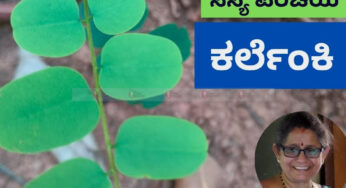 ಸಸ್ಯ ಪರಿಚಯ | ಕರ್ಲೆಂಕಿ
