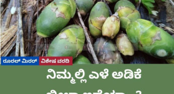 ನಿಮ್ಮಲ್ಲಿ ಎಳೆ ಅಡಿಕೆ ಬೀಳ್ತಾ ಇದೆಯಾ…? ಕೇಳಲು ಶುರು ಮಾಡಿದ್ದಾರೆ ಅಡಿಕೆ ಬೆಳೆಗಾರರು..!