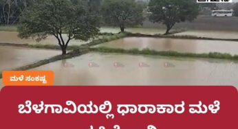 ಬೆಳಗಾವಿಯಲ್ಲಿ ಧಾರಾಕಾರ ಮಳೆ | ವ್ಯಾಪಕವಾಗಿ ಕೃಷಿಗೆ ಹಾನಿ