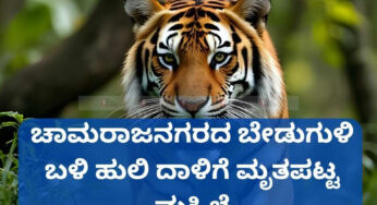 ಚಾಮರಾಜನಗರದ ಬೇಡುಗುಳಿ ಬಳಿ ಹುಲಿ ದಾಳಿಗೆ ಮೃತಪಟ್ಟ ಮಹಿಳೆ