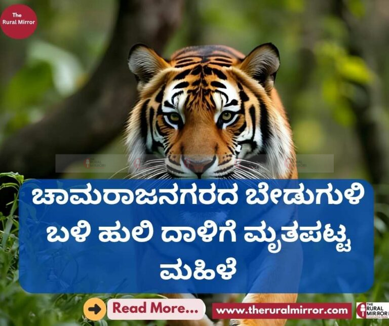 ಚಾಮರಾಜನಗರದ ಬೇಡುಗುಳಿ ಬಳಿ ಹುಲಿ ದಾಳಿಗೆ ಮೃತಪಟ್ಟ ಮಹಿಳೆ