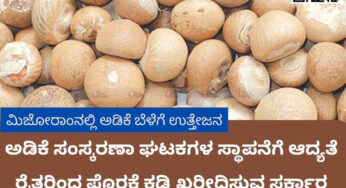 ಮಿಜೋರಾಂನಲ್ಲಿ ಅಡಿಕೆ ಬೆಳೆಗೆ ಉತ್ತೇಜನ | ಅಡಿಕೆ ಸಂಸ್ಕರಣಾ ಘಟಕಗಳ ಸ್ಥಾಪನೆಗೆ ಆದ್ಯತೆ | ರೈತರಿಂದ ಪೊರಕೆ ಕಡ್ಡಿ ಖರೀದಿಸುವ ಸರ್ಕಾರ |