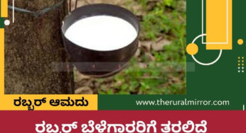 ರಬ್ಬರ್‌ ಆಮದು | ರಬ್ಬರ್‌ ಬೆಳೆಗಾರರಿಗೆ ತರಲಿದೆ ಧಾರಣೆ ಸಂಕಷ್ಟ