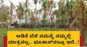 ಅಡಿಕೆ ಬೆಳೆ ಸಮಸ್ಯೆ ನಮ್ಮಲ್ಲಿ ಮಾತ್ರವಲ್ಲ.. ಭೂತಾನ್‌ನಲ್ಲೂ ಇದೆ..! ಕಳೆದ 3 ವರ್ಷಗಳಿಂದ ಅಲ್ಲಿ ಏನಾಗುತ್ತಿದೆ..?