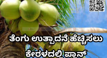 ತೆಂಗು ಉತ್ಪಾದನೆ ಹೆಚ್ಚಿಸಲು‌ ಕೇರಳದಲ್ಲಿ ಪ್ಲಾನ್‌ | ಹೊಸ ಕೋರ್ಸ್‌ ಅಭಿವೃದ್ಧಿಪಡಿಸಲು ಚಿಂತನೆ |